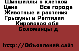 Шиншиллы с клеткой › Цена ­ 8 000 - Все города Животные и растения » Грызуны и Рептилии   . Кировская обл.,Соломинцы д.